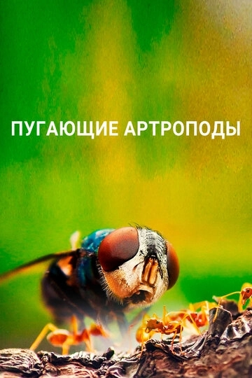 Пугающие артроподы (2020)